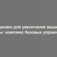 Тренировки для увеличения мышечной массы: комплекс базовых упражнений