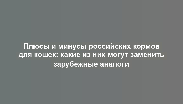 Плюсы и минусы российских кормов для кошек: какие из них могут заменить зарубежные аналоги