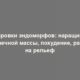 Тренировки эндоморфов: наращивание мышечной массы, похудение, работа на рельеф