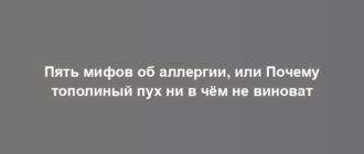 Пять мифов об аллергии, или Почему тополиный пух ни в чём не виноват