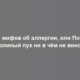 Пять мифов об аллергии, или Почему тополиный пух ни в чём не виноват