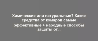 Химические или натуральные? Какие средства от комаров самые эффективные + народные способы защиты от укусов