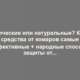 Химические или натуральные? Какие средства от комаров самые эффективные + народные способы защиты от укусов