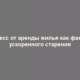 Стресс от аренды жилья как фактор ускоренного старения